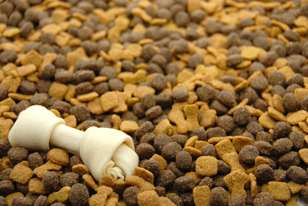 pet food being recalled by Diamond Pet Foods