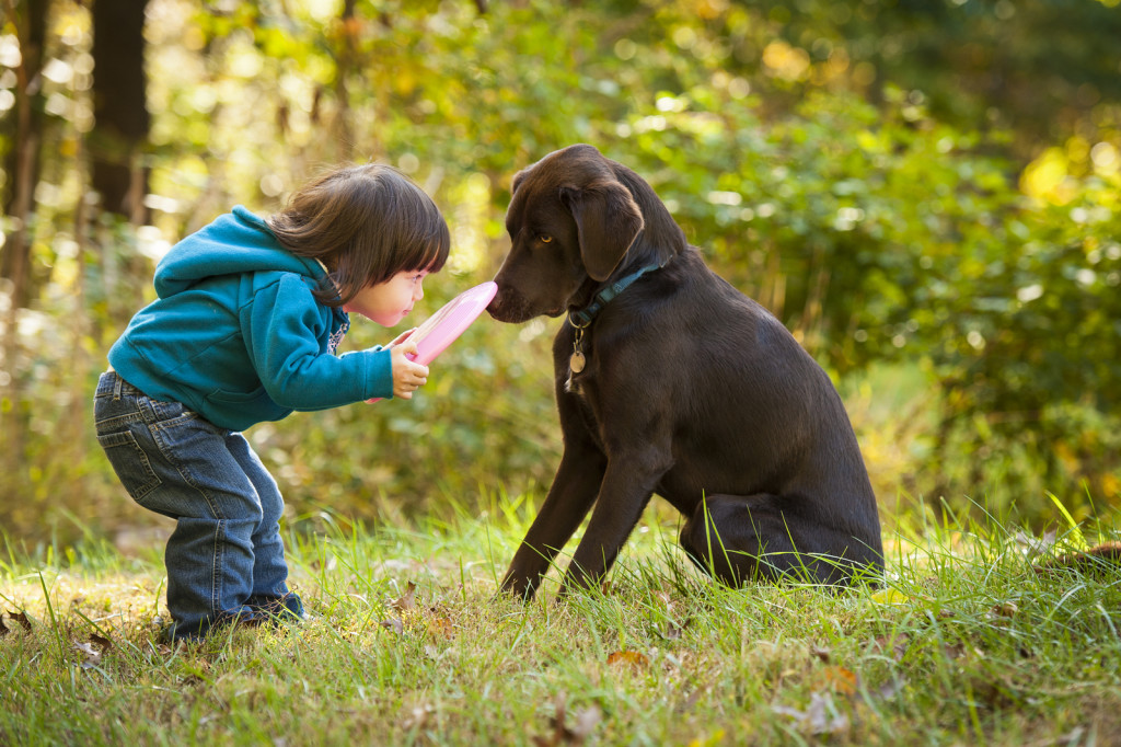 Pet Antioxidants Promote Pet Health in Dogs & Cat’s