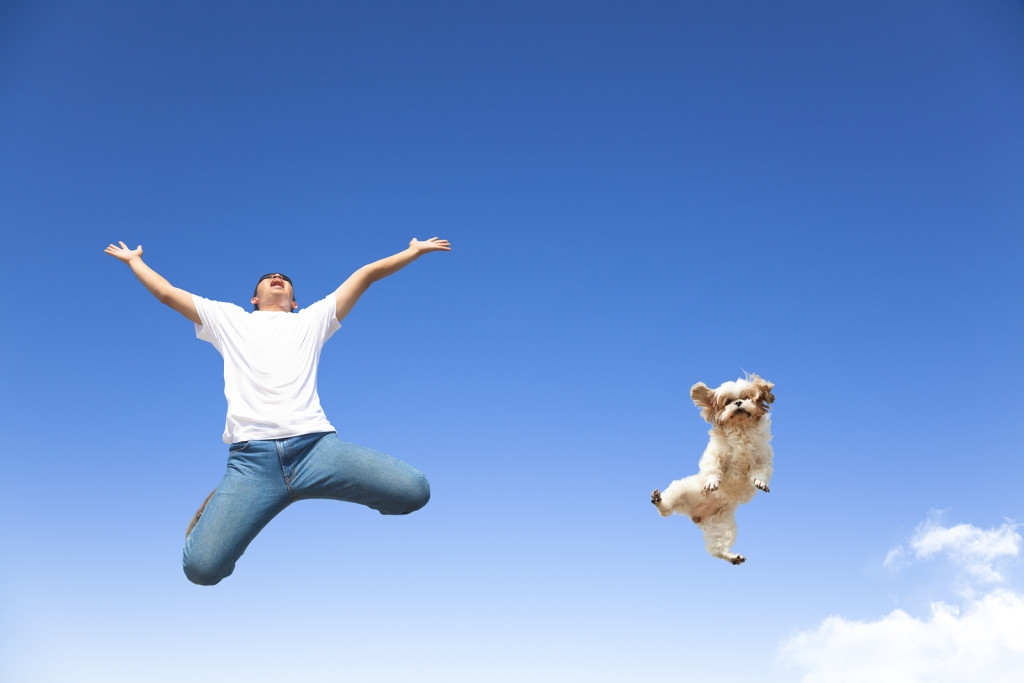Dog Cancer Survivor Grateful for Veterinarians Advice