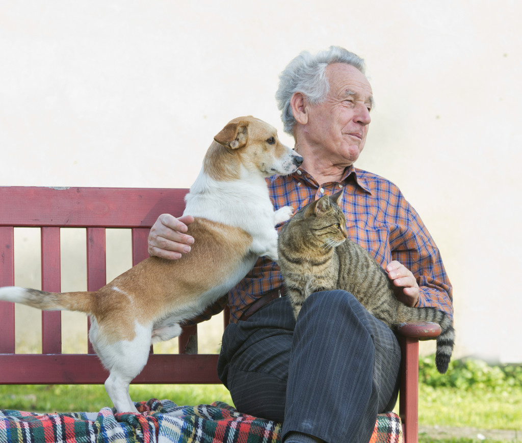 How to Make Natural Dog Flea Home Remedies