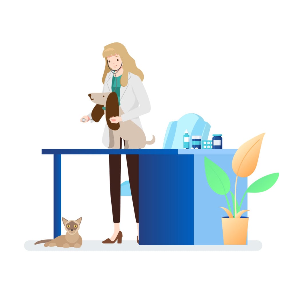 Pet Health Consultation: Dogs and Cats