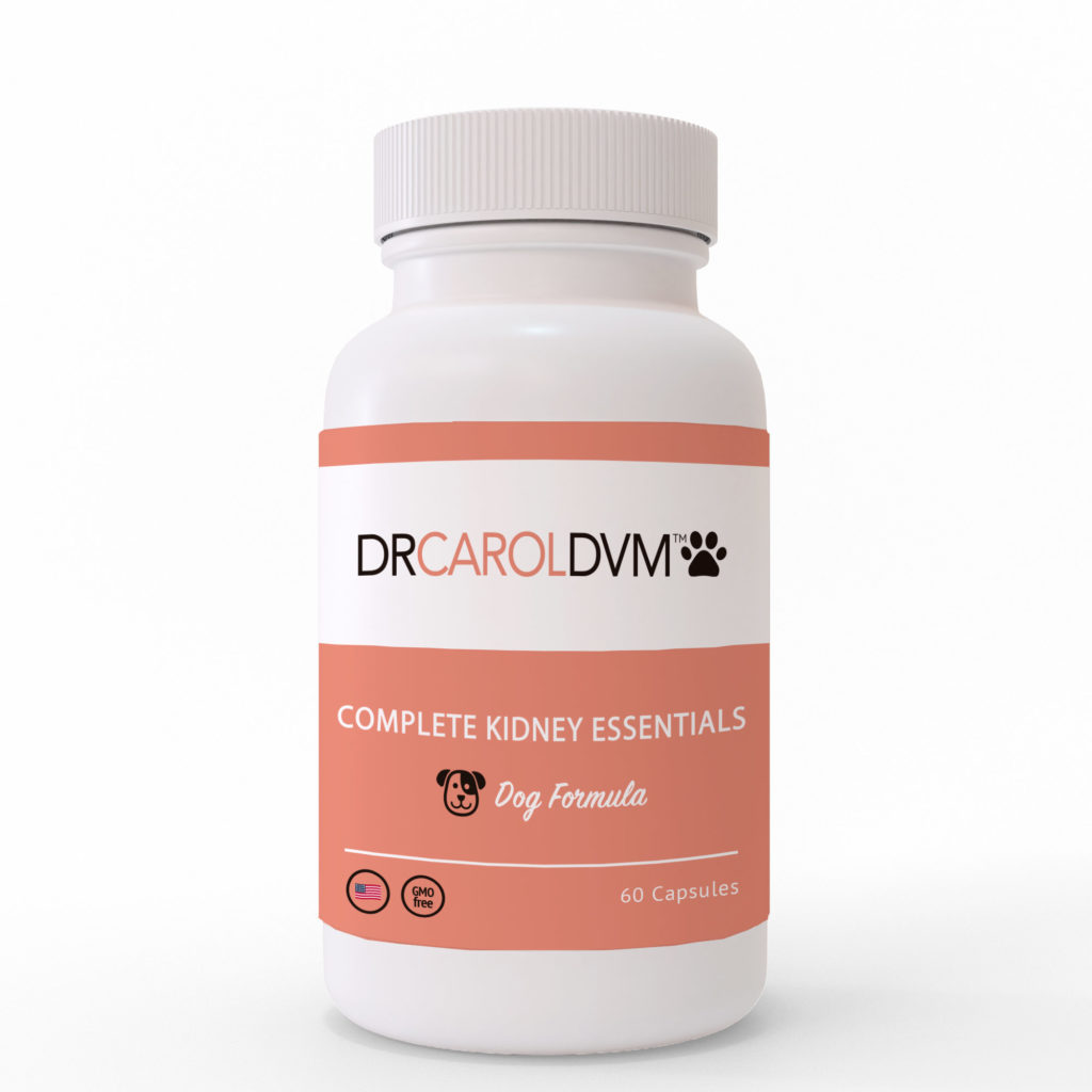 Dr. Carol’s Complete Dog Kidney Essentials Supplement