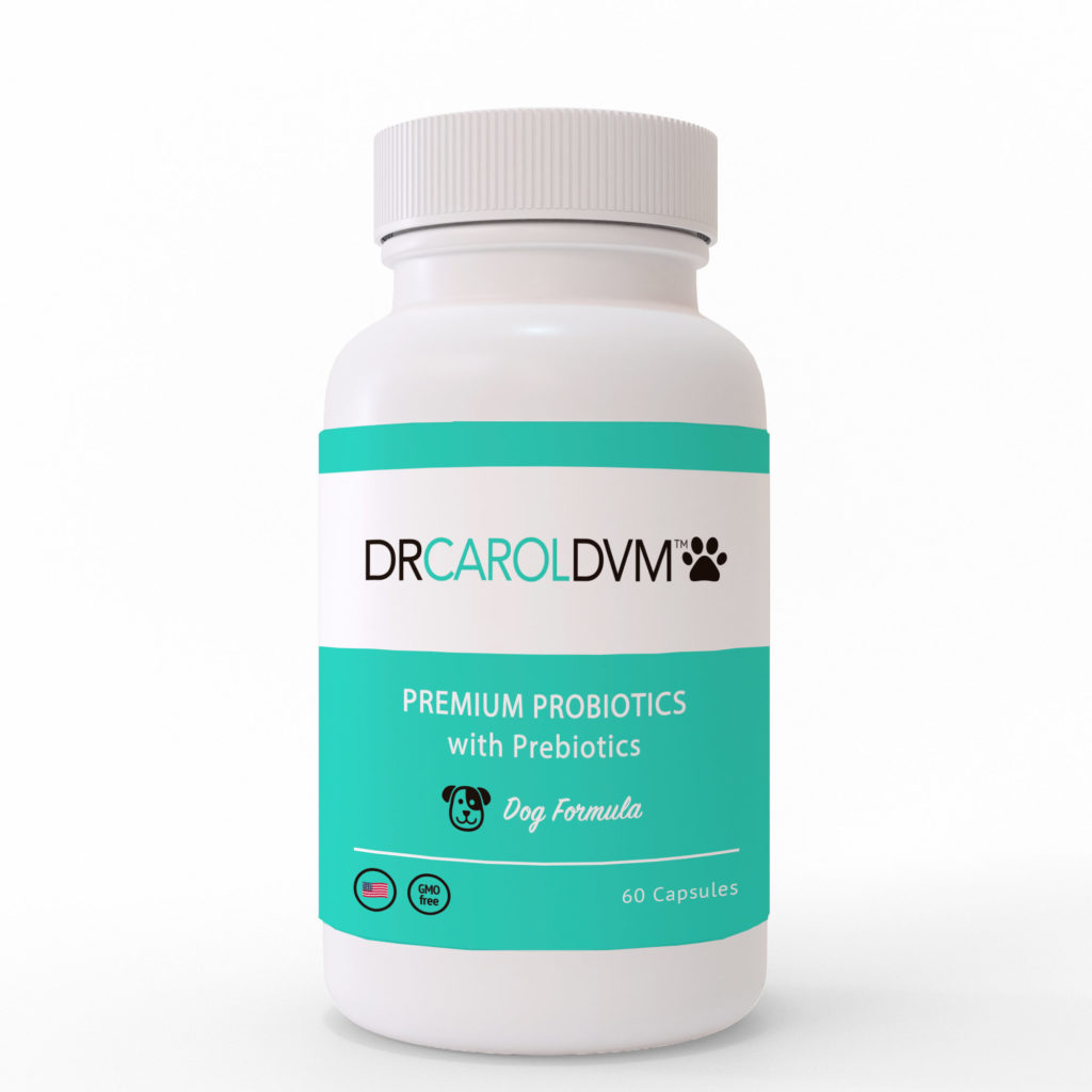 Dr. Carol’s Premium Dog Probiotics with Prebiotic