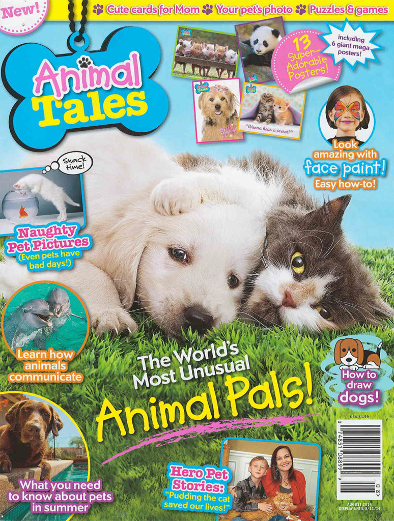 What's it like to be a Vet? Animal Tales