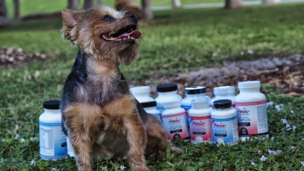 Barking Dogs Annoying You?