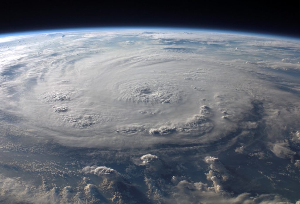 Pet Hurricane Prep Tips by Dr. Carol Osborne, D.V.M.