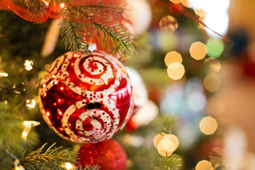 Holiday Pet Safety Tips: Cats and How to Pet Proof Christmas Trees