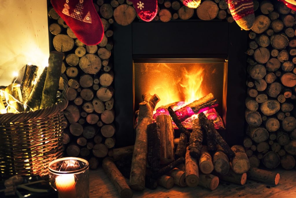 Pet Safety During the Holiday Season