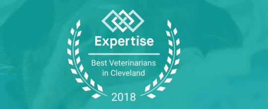 Expertise Awards Chagrin Falls Pet Clinic Top Twenty