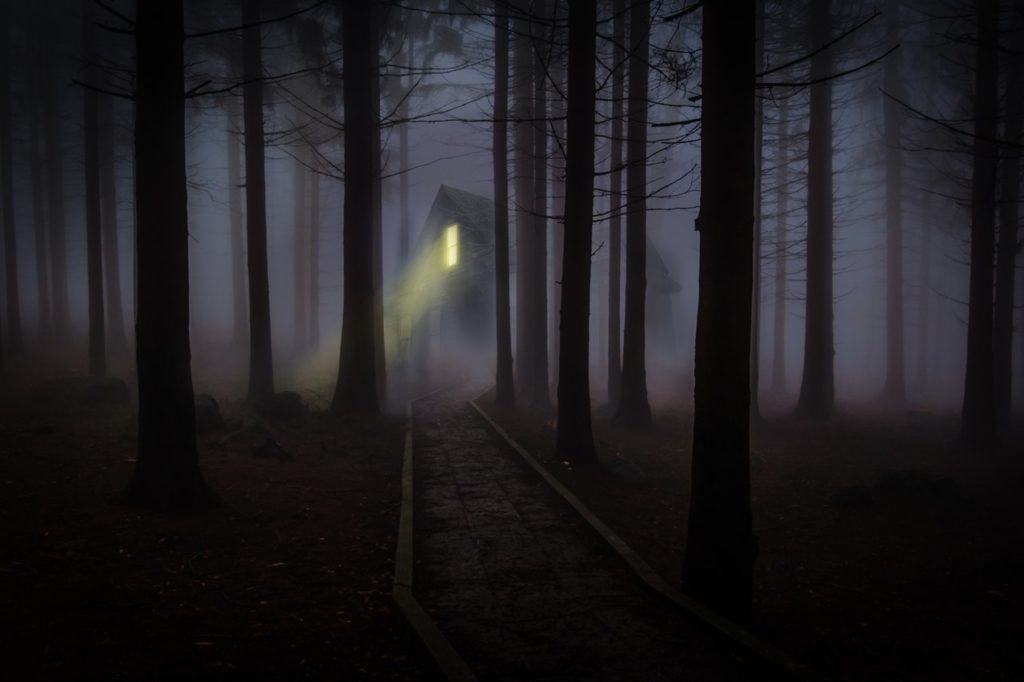 Pets & The Paranormal