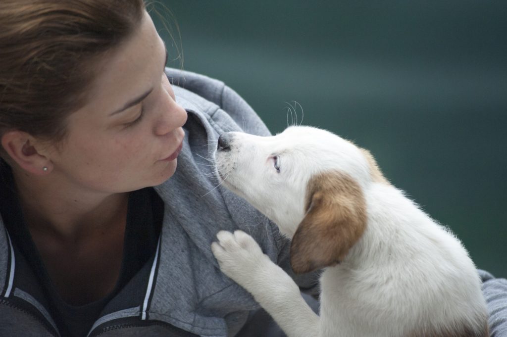 7 Ways Your Dog Shows You He Cares