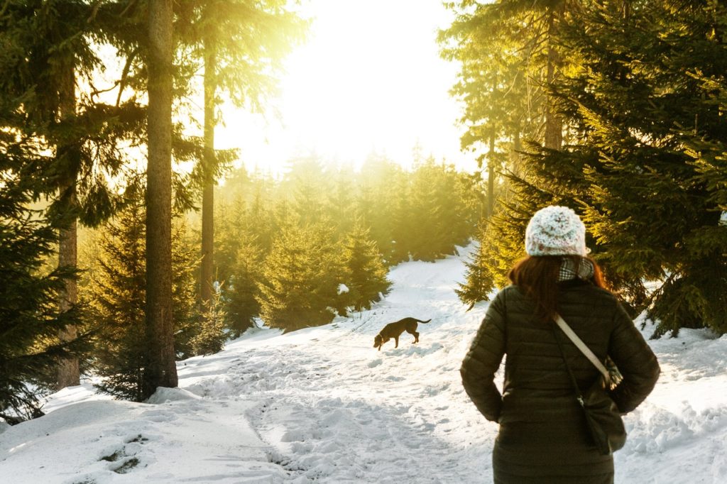 Avoid These Cold Weather Dog Woes