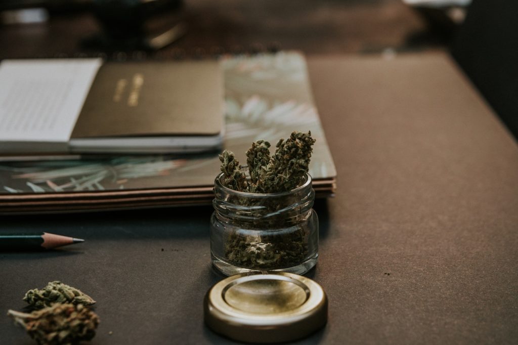 Pet Pot Update: Ohio Laws Hopeful for Vets & Pets on Pot
