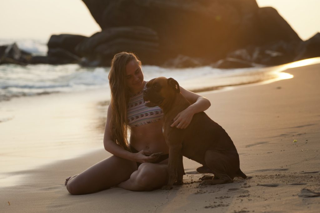 Pet GetAways for New Year's