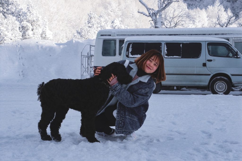 Pets in Winter: Cold Weather Woes