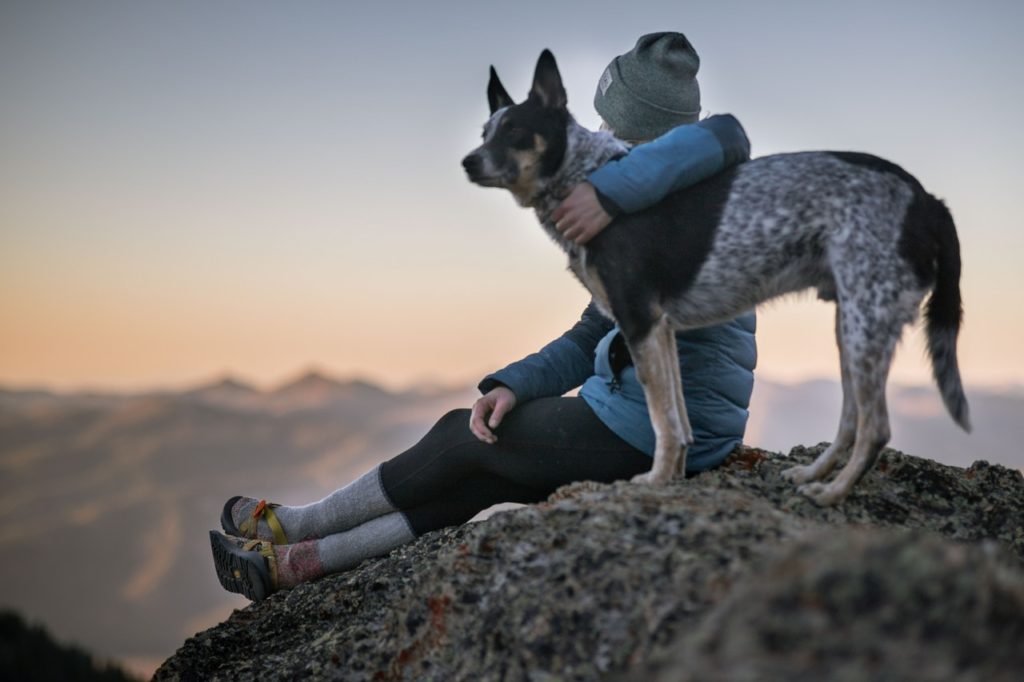 Cold Weather Safety Tips for Traveling With a Pet