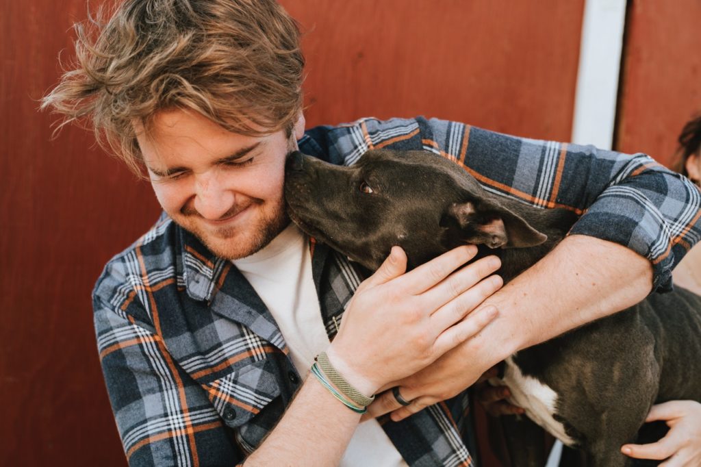 Dogs Can Get Breast Cancer Too