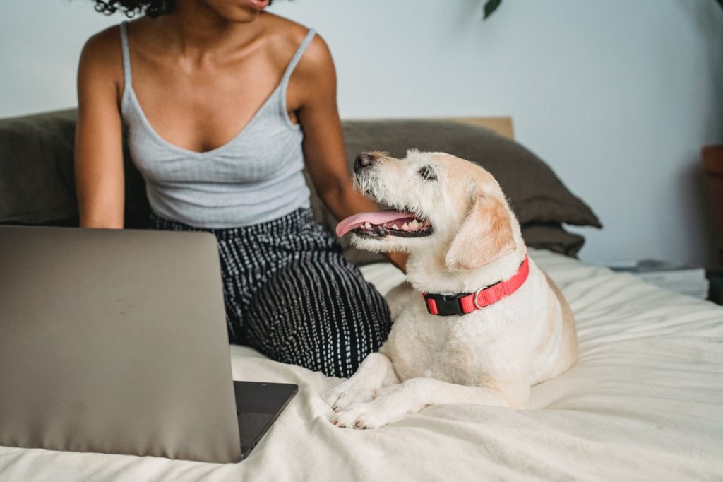 Pet Body Weight and Cancer Risk