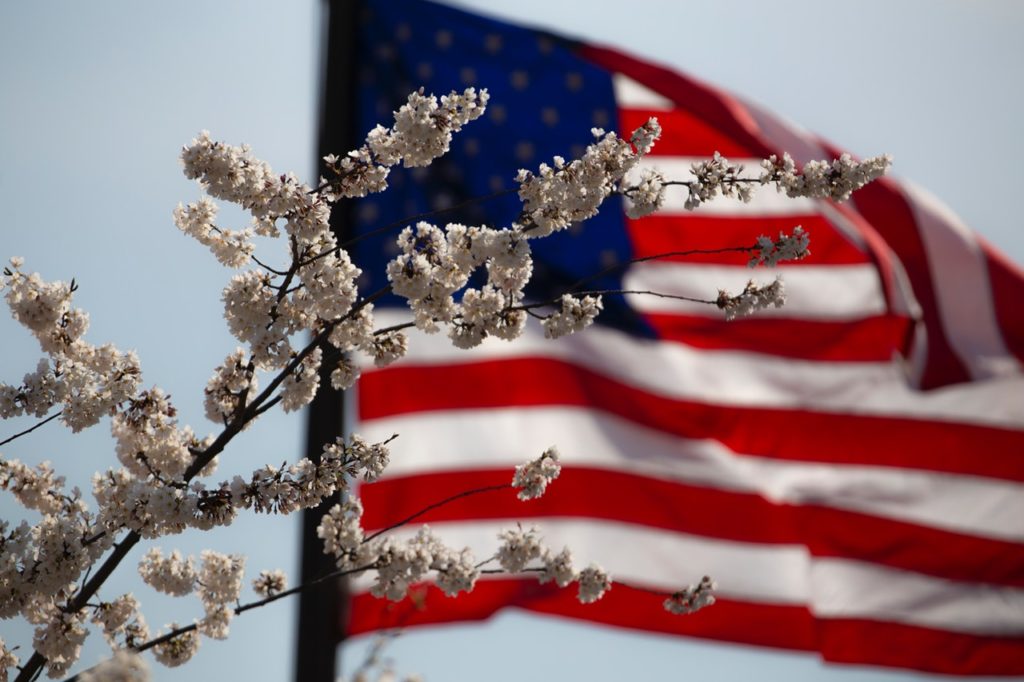 Independence Day Pet Safety Tips for 2019