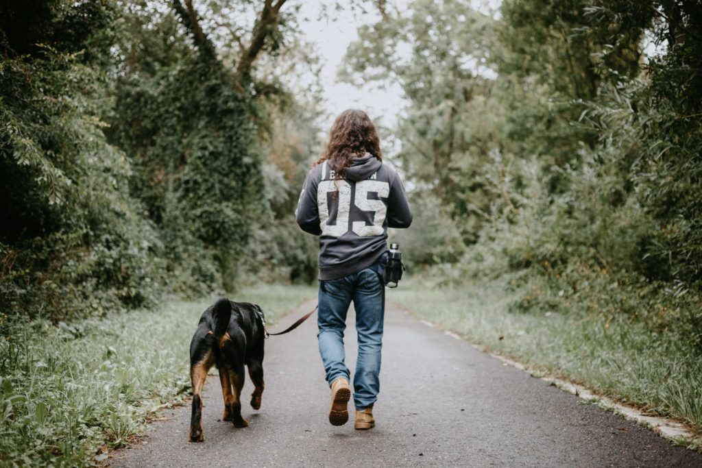 The Benefits of using CBD Oil on your Pets
