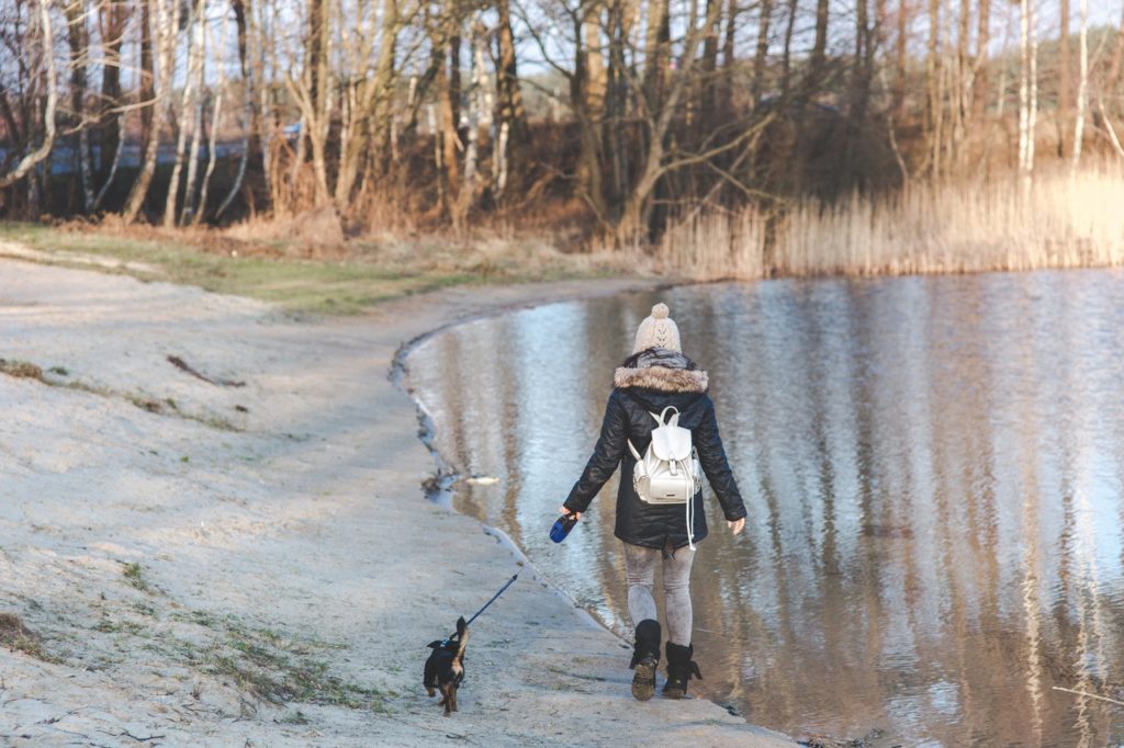 Pet Wintertime Safety Tips