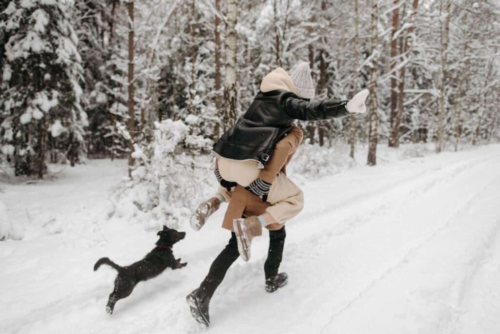 Winter Safety Tips for Your Pets