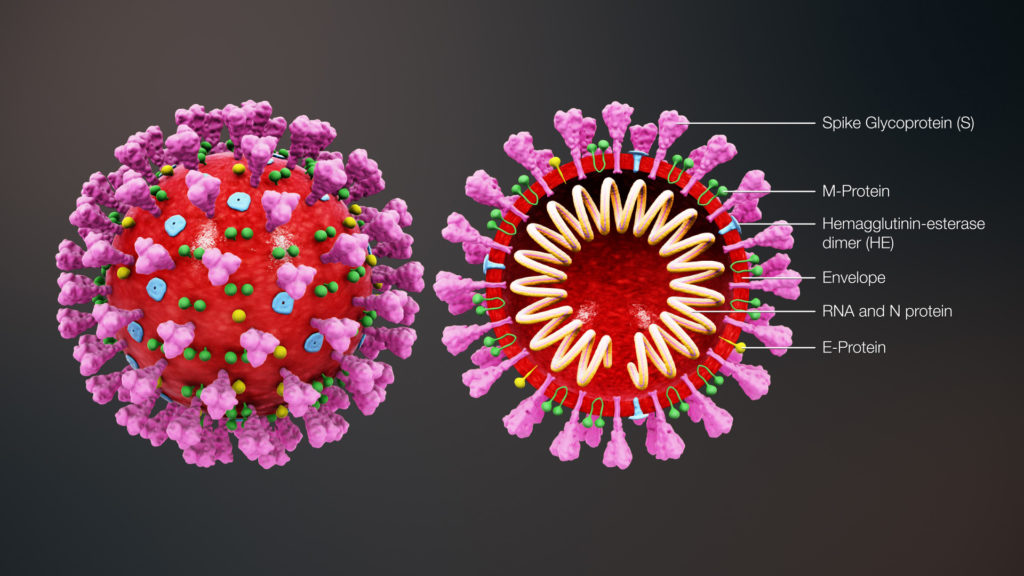 Dr. Carol - Coronavirus News Flash to our Patients