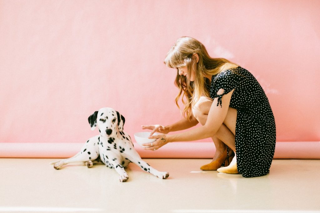 The Lowdown on the Latest Pet Food Trends, According to Vets
