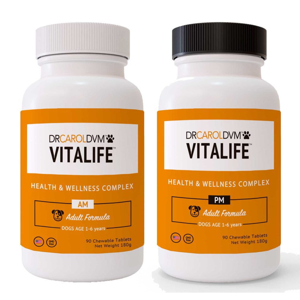 Dr. Carol's VitaLife Health & Wellness Complex AM/PM Dog Formula - 90 Count