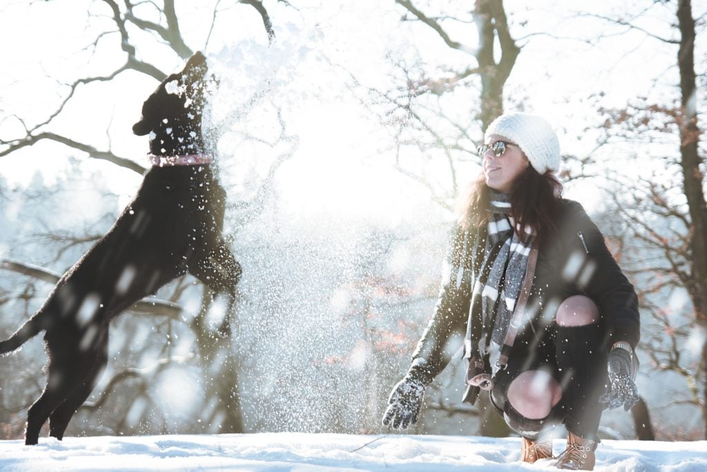 Dr. Carol Gives Some Tips on Caring for Your Pet in Cold Weather