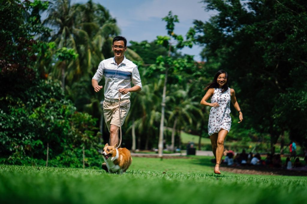 New Year’s Tips to Get Pets & their People into Tip Top Shape