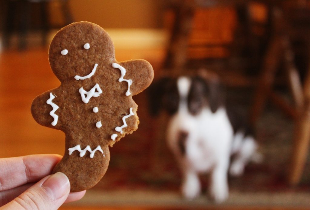 Tis the Season for Holiday & Food Do’s & Don'ts