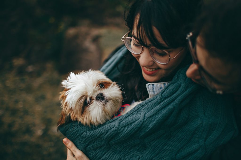 Dogs can get Breast Cancer too