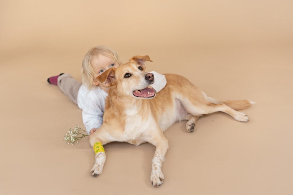 Preparing Your Dog for a New Baby