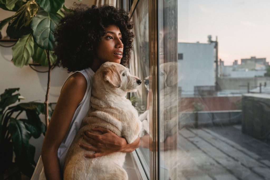 What to look for in air purifiers for pets!