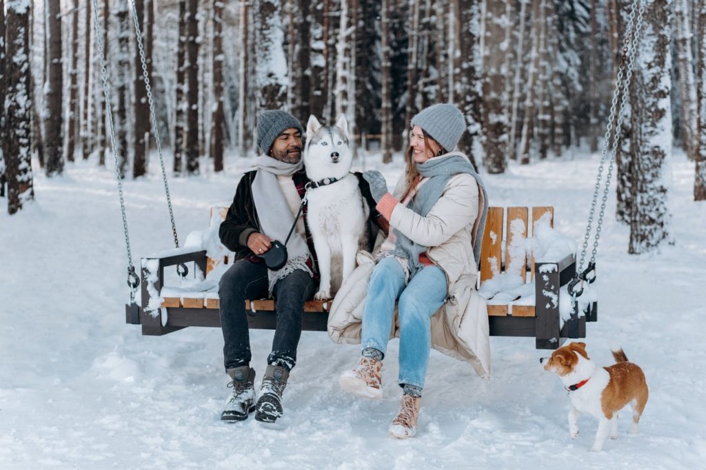Cold Weather Woes for Your Furry Friends