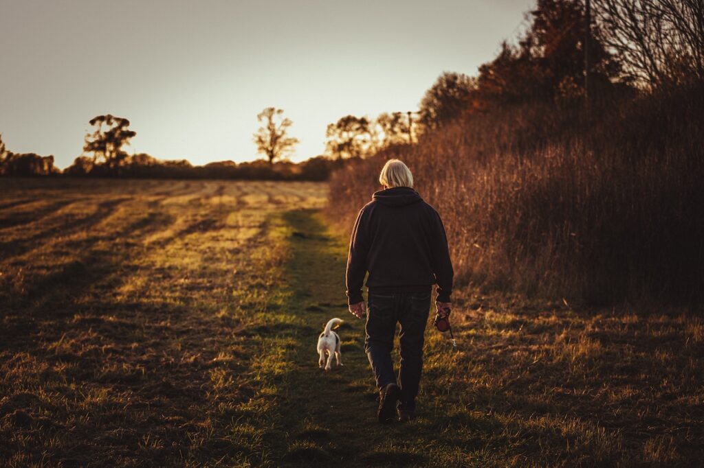 Autumn’s Dog Dangers