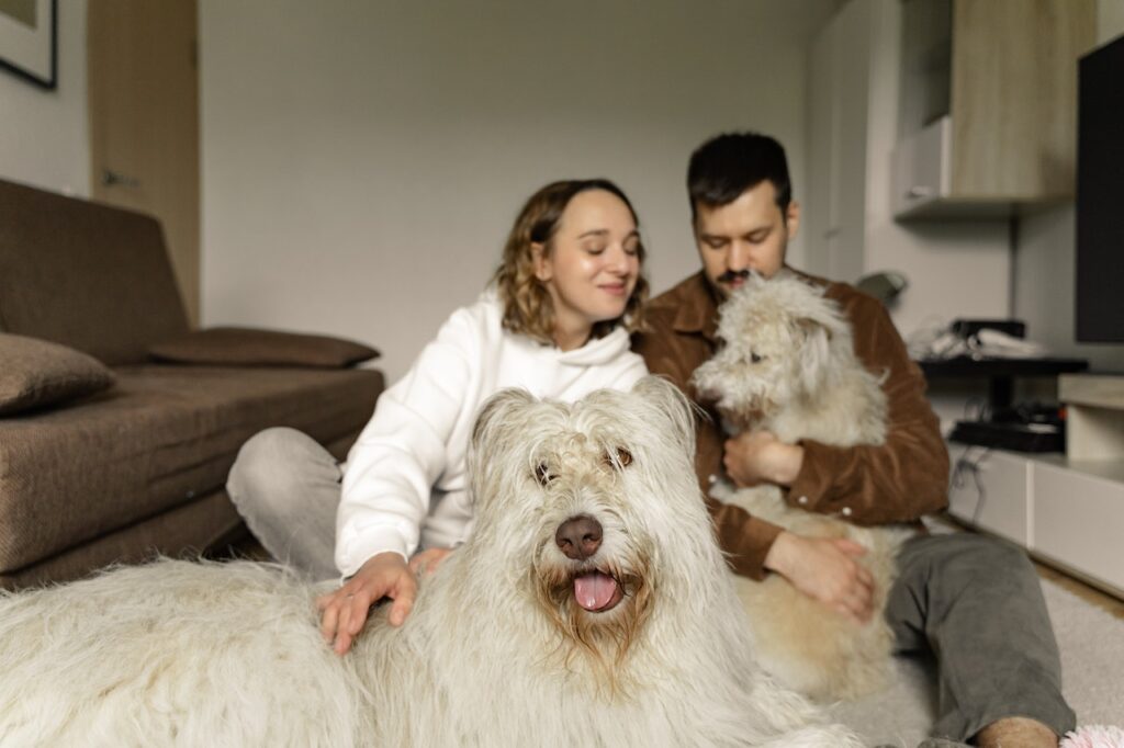 Adopting