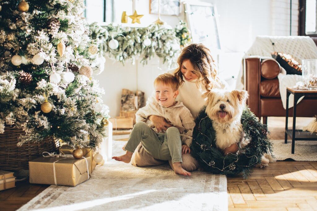The Christmas Decor Item You Should Avoid If You Have A Pet