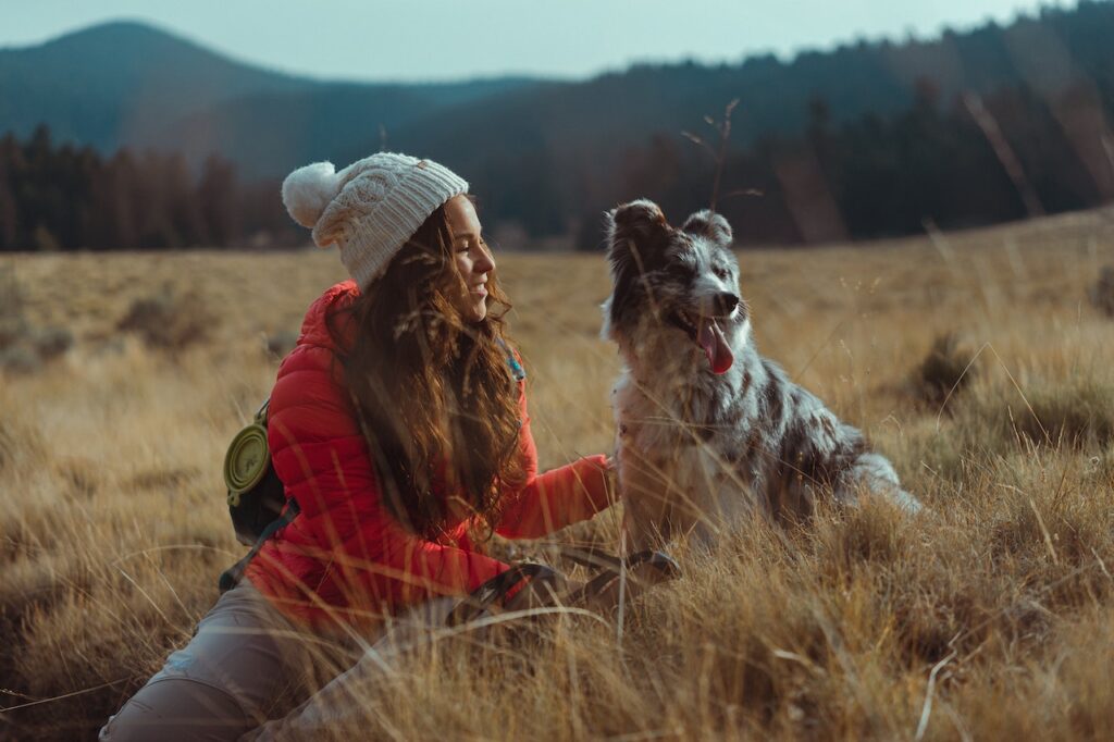 Road Trips with Your Dog—What You Need to Know