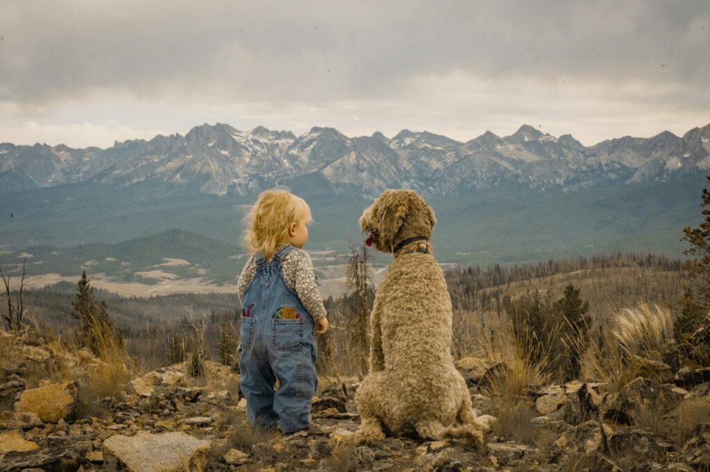 Holiday Survival Guide -13 Hints & Tips for our Furry Pet Friends