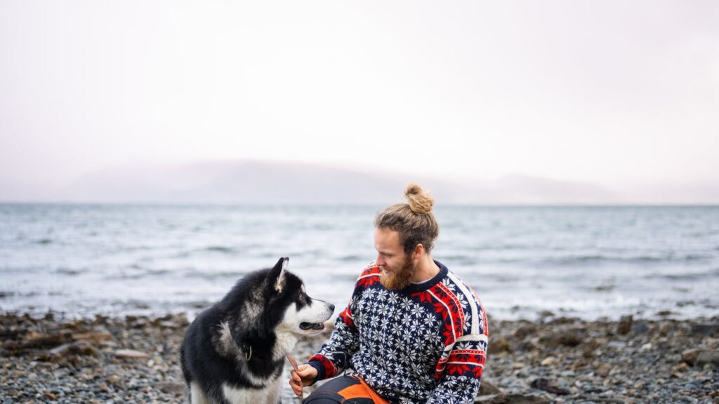 Mystery Dog Illness - Tips to Keep Your Dog Safe