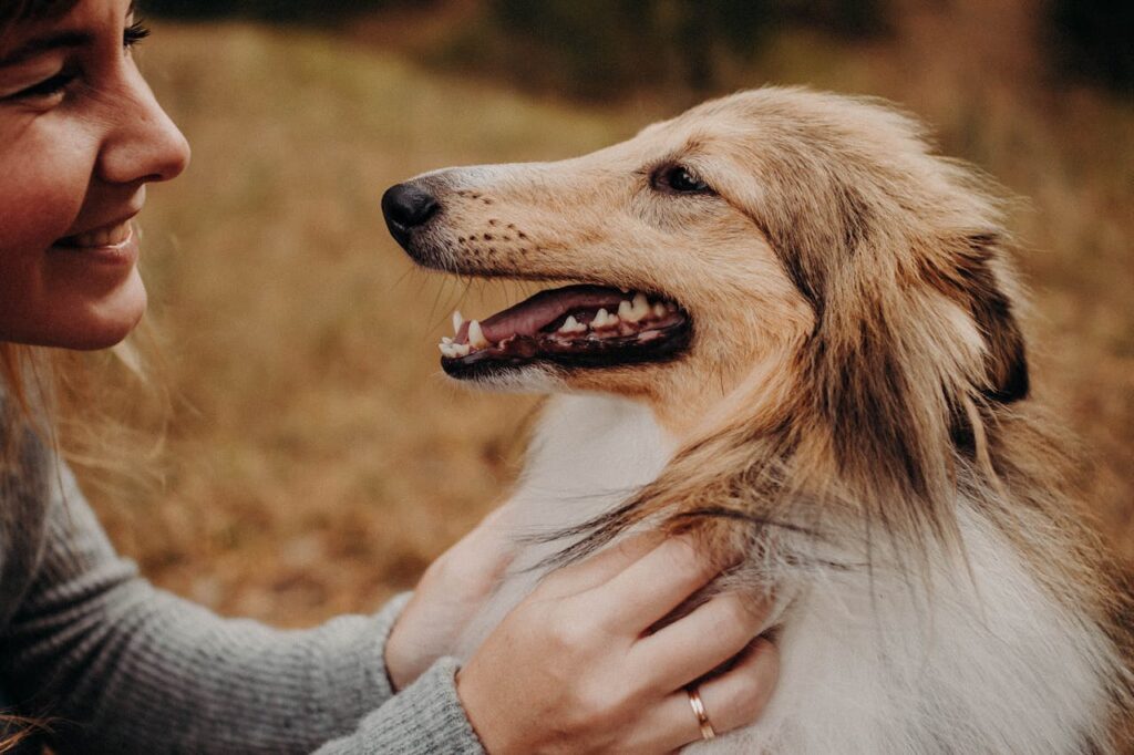 How to Get Rid of Bad Dog Breath: 10 Ways to Tame it
