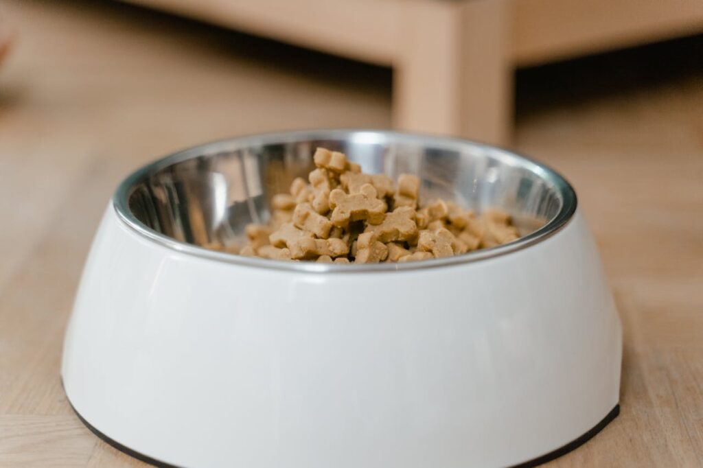 What is in Your Pet’s Food Bowl?