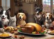 Thanksgiving