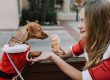The Essential Holiday Pet Safety Guide: Protect Your Pets This Christmas Season