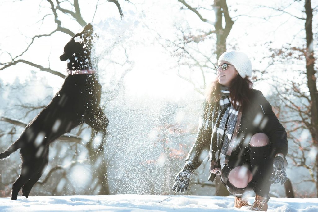 Cold Weather Pet Safety Tips for Dogs and Cats