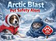 Protect your pets this winter with essential cold-weather safety tips. Learn how to prevent frostbite, protect paws, and keep your pets safe indoors and outdoors.