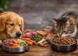 Is Your Pet Food Helping or Hurting Their Health?