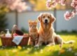 Spring Pet Care